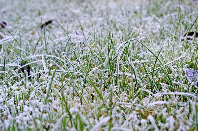 Why You Shouldn’t Aerate Your Lawn in Wet or Frosty Conditions