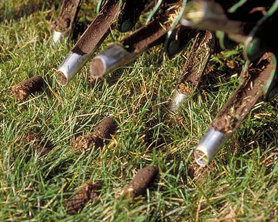 Aerating your lawn